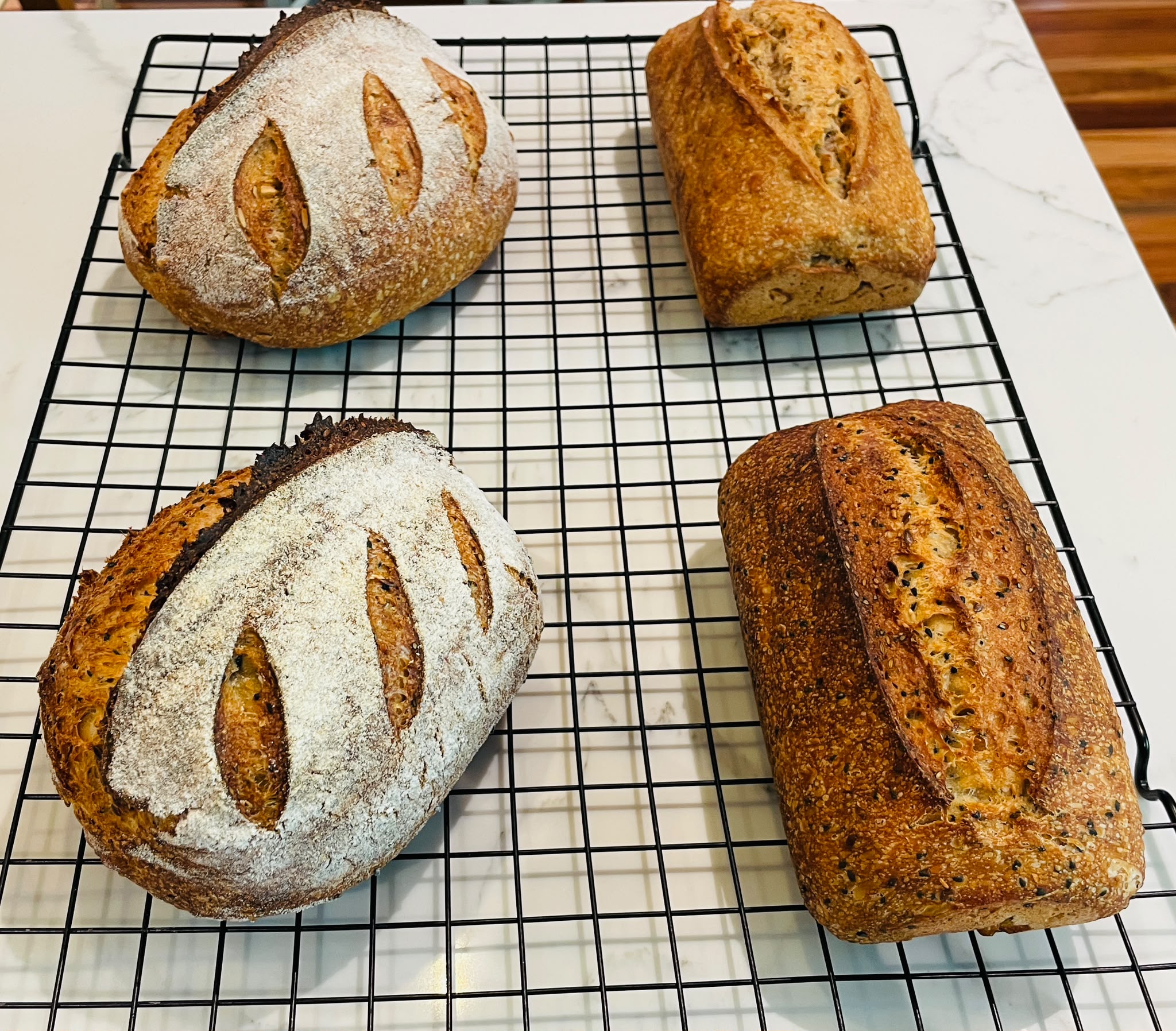 Four fresh sourdough loaves cooling on a rack